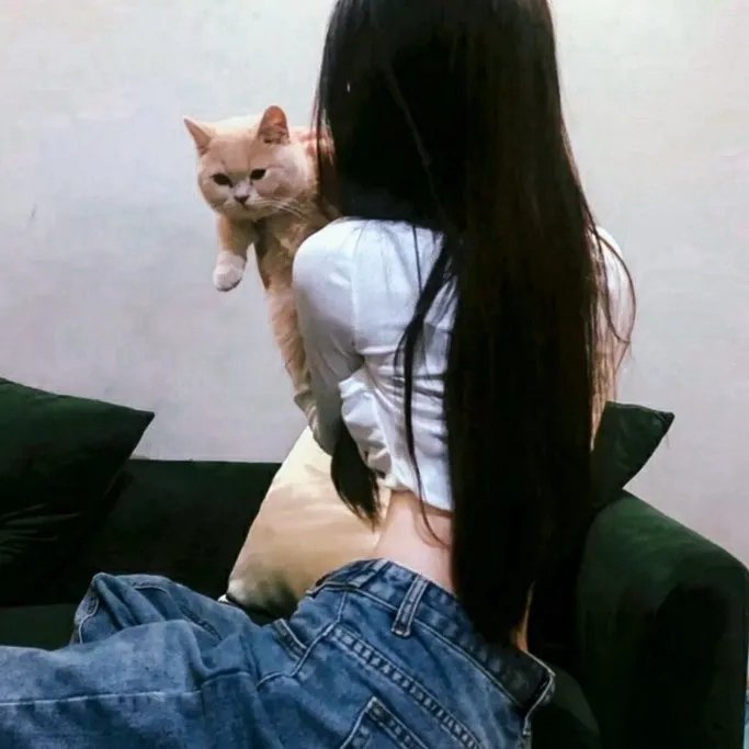 红绿灯